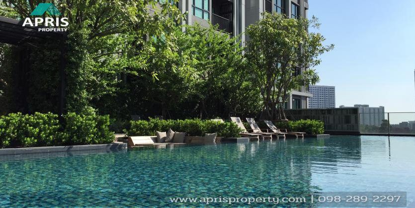 ฝาก ซื้อ ขาย เช่า อสังหาริมทรัพย์ สุขุมวิท 
Buy Sale Rent Property 