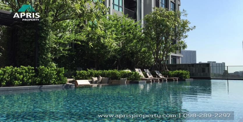 ฝาก ซื้อ ขาย เช่า อสังหาริมทรัพย์ สุขุมวิท 
Buy Sale Rent Property 