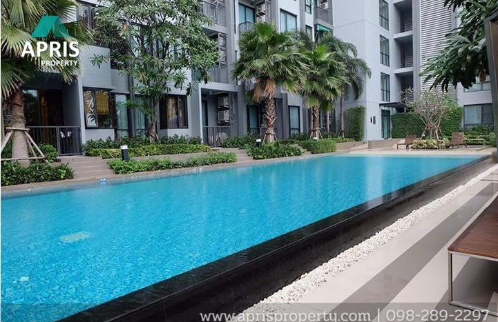 ฝาก ซื้อ ขาย เช่า อสังหาริมทรัพย์ สุขุมวิท 
Buy Sale Rent Property Sukhumvit