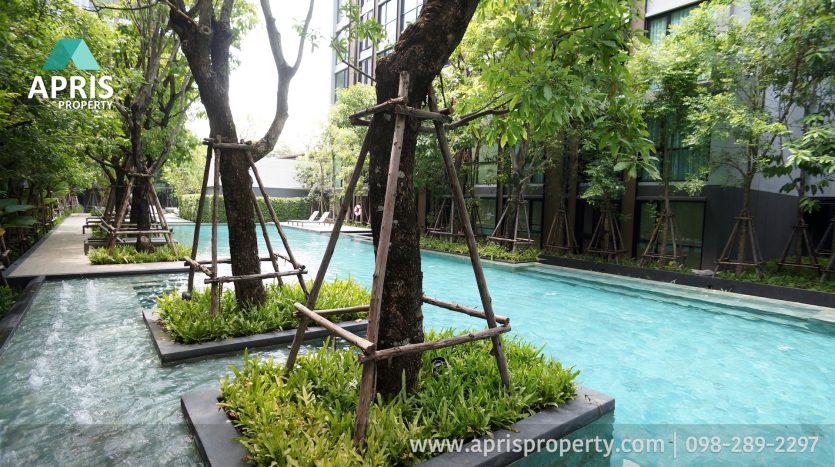 ฝาก ซื้อ ขาย เช่า อสังหาริมทรัพย์ สุขุมวิท 
Buy Sale Rent Property Sukhumvit